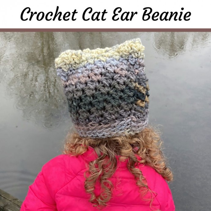 Crochet Chunky Cat Ear Beanie