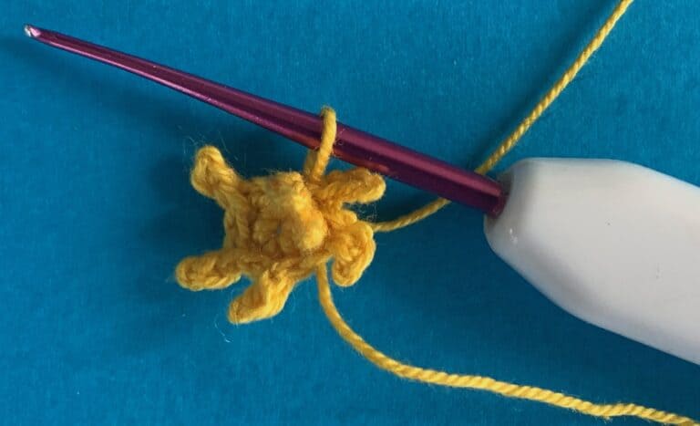 Crochet Water Lily