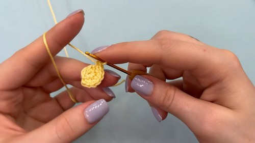 Crochet Lemon Earrings & Keychain