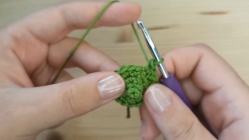 Create Your Own Adorable Crochet Succulent Plants for Home Decor