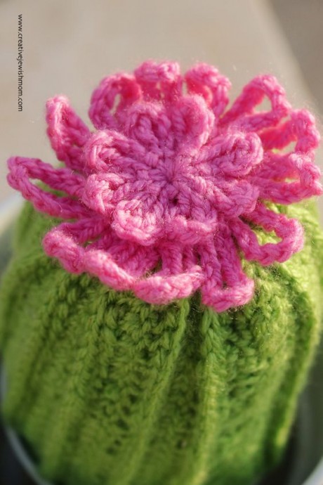 Crochet Cactus in Bloom