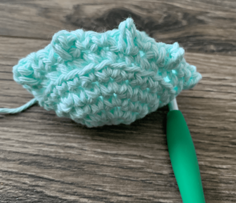 Crochet Can Cozy