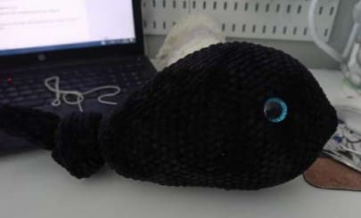 Create Your Own Crochet Orca Whale Amigurumi: A Step-by-Step Guide for Craft Enthusiasts