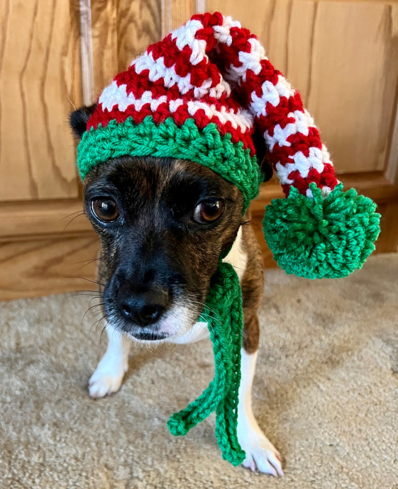 Create a Charming Crochet Small Dog Elf Hat – Perfect for Pets of All Sizes Create a Charming Crochet Small Dog Elf Hat – Perfect for Pets of All Sizes