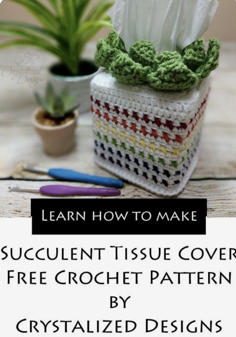 Succulent Tissue Cover