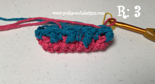 Create Your Own Crochet Bumpy Soap Bag: A Fun and Easy Project for Beginners