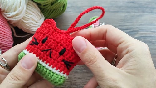 Crochet Catermelon Airpods Pouch: A Fun and Functional Accessory for Your Airpods