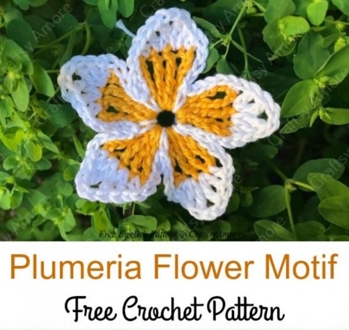 Create Stunning Plumeria Flower Motifs: A Complete Guide to Crocheting Floral Beauty Create Stunning Plumeria Flower Motifs: A Complete Guide to Crocheting Floral Beauty