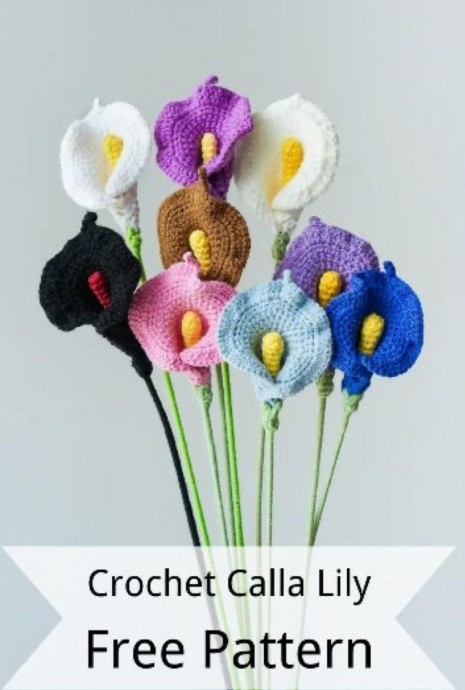 Create Stunning Crochet Calla Lily Flowers with This Easy-to-Follow Pattern Create Stunning Crochet Calla Lily Flowers with This Easy-to-Follow Pattern
