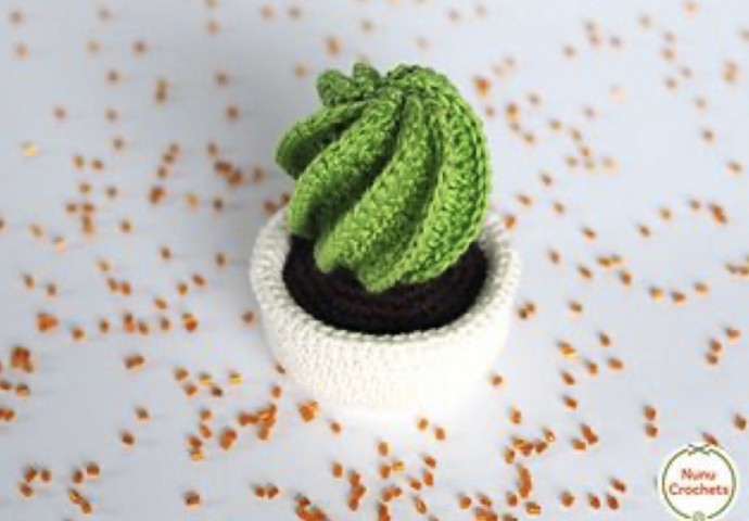 Free Crochet Pattern: Adorable Spiral Cactus