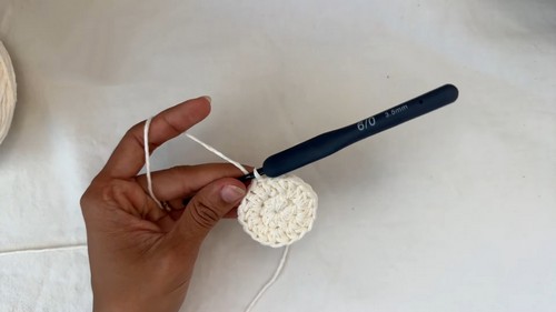 How to Crochet a Beautiful Placemat - A Step-by-Step Guide for All Skill Levels