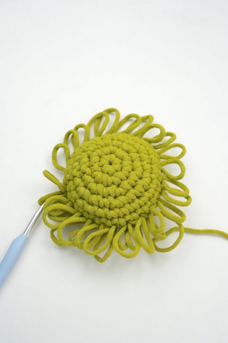 Master the Crochet Double Loop Stitch: A Beginner's Guide to Unique Textures in Your Projects Master the Crochet Double Loop Stitch: A Beginner's Guide to Unique Textures in Your Projects