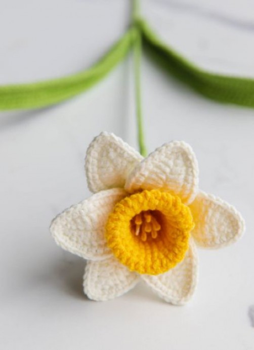 Crochet a Narcissus