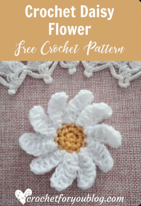 Create Beautiful Daisy Flowers: A Beginner's Guide to Crochet Projects Create Beautiful Daisy Flowers: A Beginner's Guide to Crochet Projects