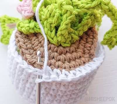 Create Your Own Crochet Hanging Plant: A Step-by-Step Guide for a Charming Home Decor