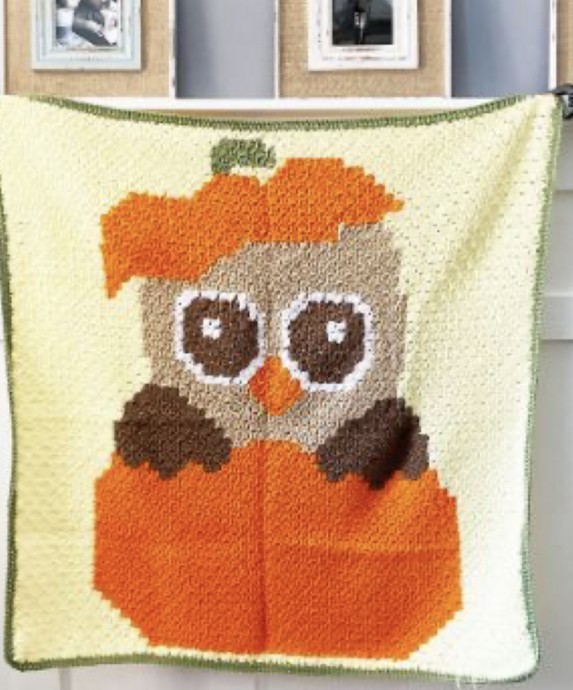 Crochet Fall Owl Blanket