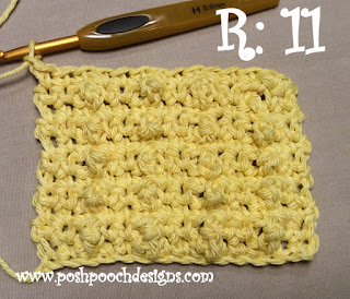 Crochet Nubby Cotton Sponge