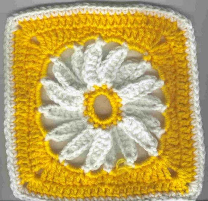 Crochet Delightful Daisy Square