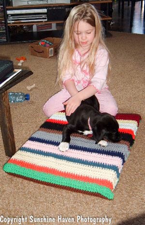 Create a Cozy Crocheted Dog Bed for Your Furry Friend with This Easy Guide