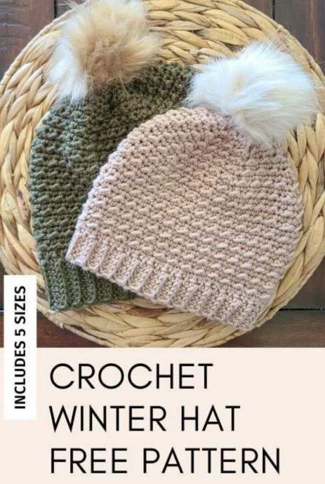 Crochet the Arctic Beanie