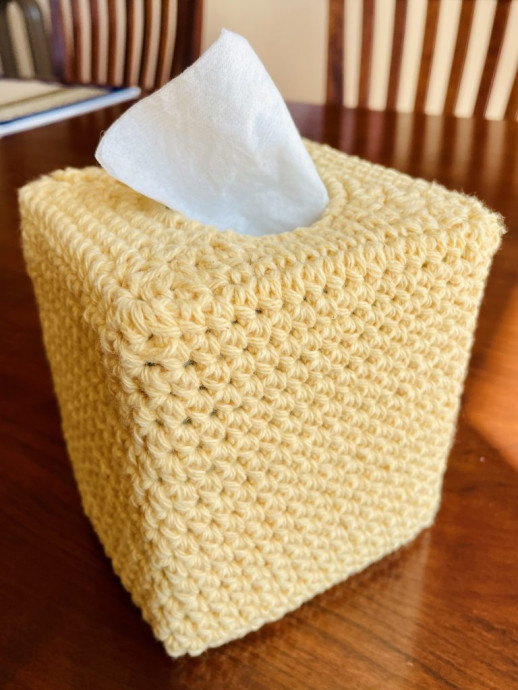 Create Your Own Charming Crochet Tissue Box Cover – Step-by-Step Guide for a Cozy Home Décor Create Your Own Charming Crochet Tissue Box Cover – Step-by-Step Guide for a Cozy Home Décor