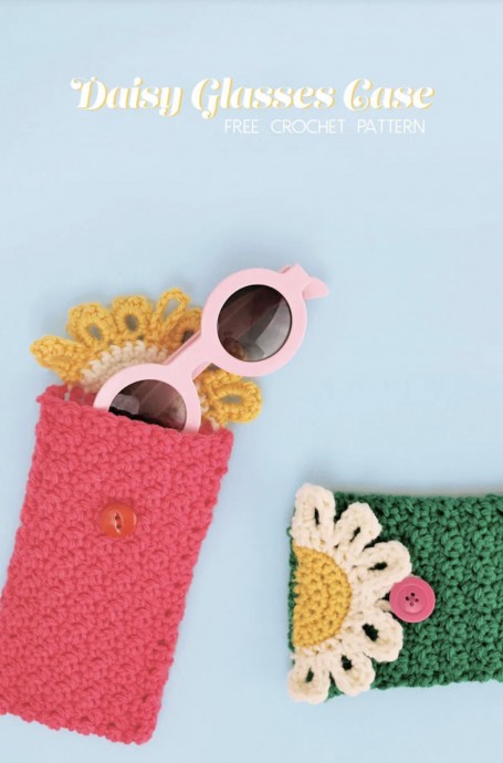 Amazing Crochet Glasses Pouch