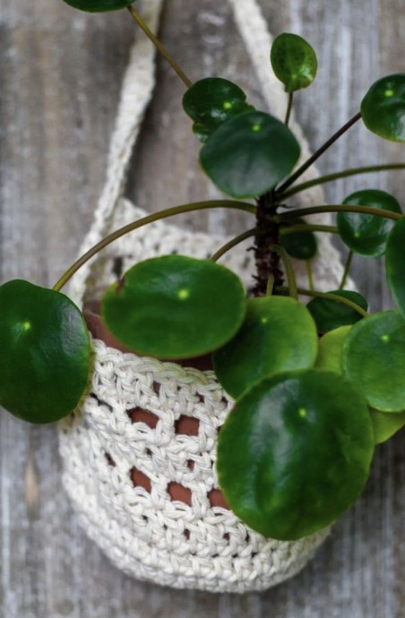 Discover the Charming Crochet Wall Plant Hanger Basket - Elevate Your Home Decor with Unique Plant Displays Discover the Charming Crochet Wall Plant Hanger Basket - Elevate Your Home Decor with Unique Plant Displays