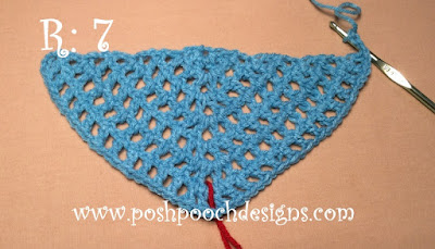 Crochet The Cake Shawl