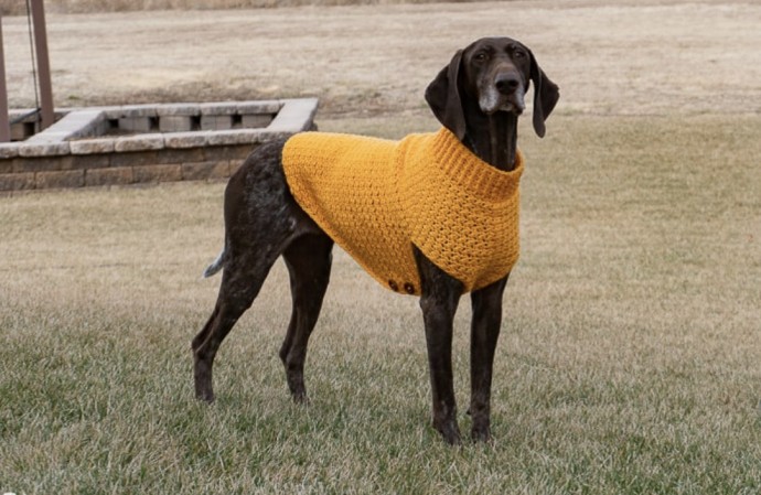 Free Crochet Dog Sweater Pattern