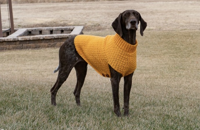 Easy Crochet Dog Sweater Pattern for Beginners: Keep Your Pup Cozy and Stylish Easy Crochet Dog Sweater Pattern for Beginners: Keep Your Pup Cozy and Stylish