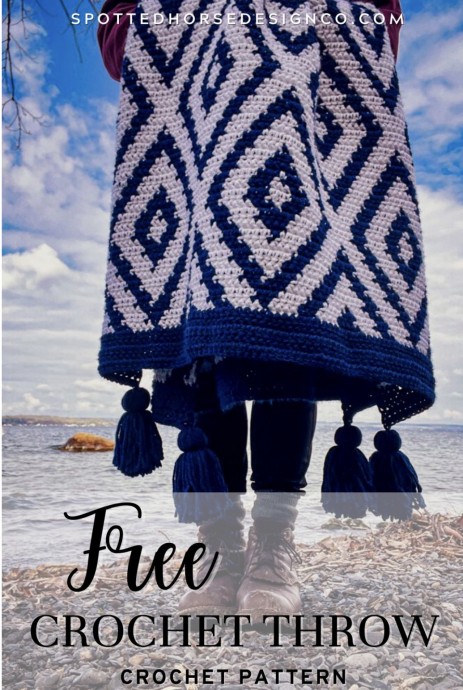 Crochet a Gorgeous Throw Blanket