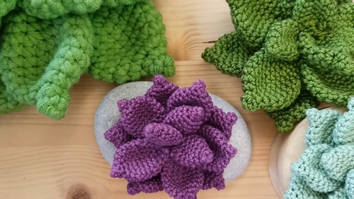 Create Your Own Adorable Crochet Succulent Plants for Home Decor