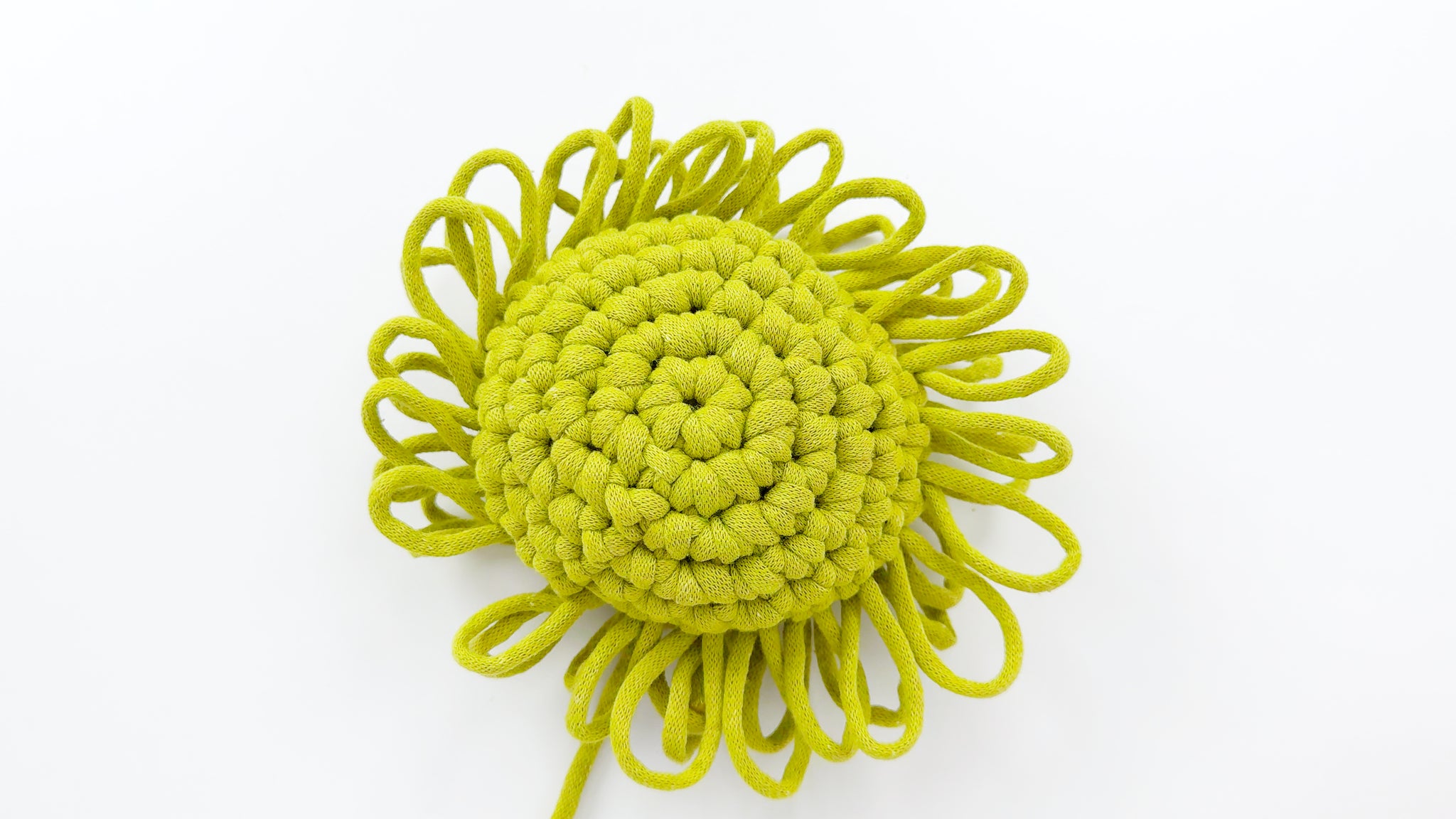 Master the Crochet Double Loop Stitch: A Beginner's Guide to Unique Textures in Your Projects