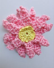 Create Beautiful Crochet Cosmos Flowers with This Easy Pattern for Any Project Create Beautiful Crochet Cosmos Flowers with This Easy Pattern for Any Project