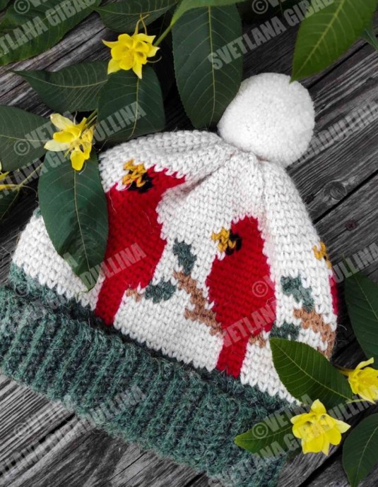 Crochet Cardinal Bird Hat