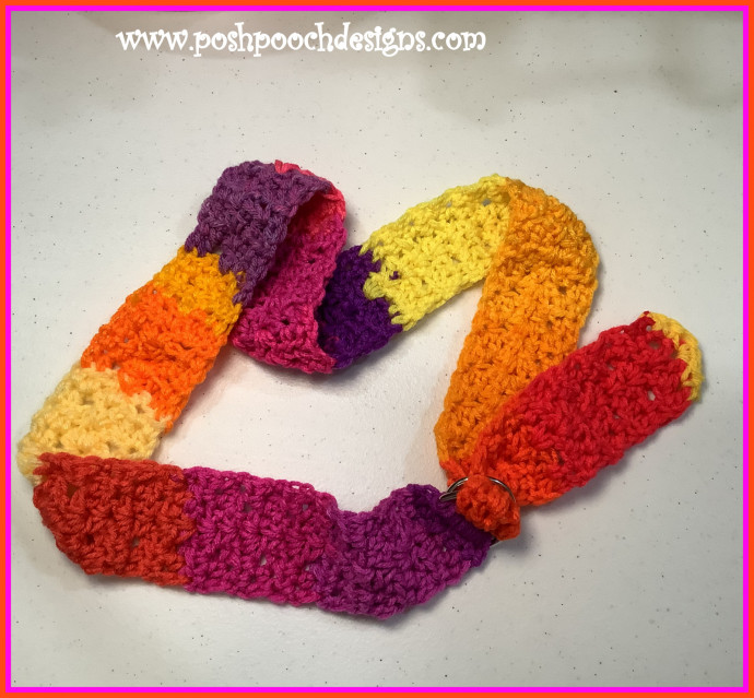 Crochet Bright Rainbow Belt