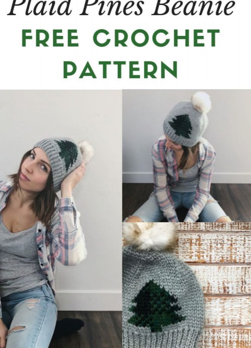 Crochet Plaid Pines Beanie