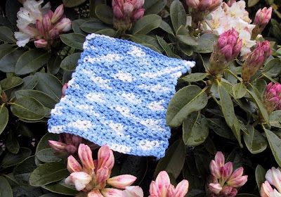 Crochet Seed Stitch Dishcloth