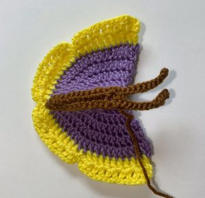 Create Adorable Crocheted Butterflies: A Step-by-Step Guide for All Levels