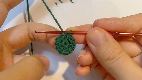 Crochet Watermelon Amigurumi Crochet Watermelon Amigurumi