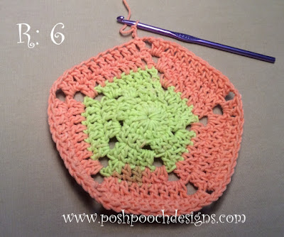Crochet Pinwheel Washcloth