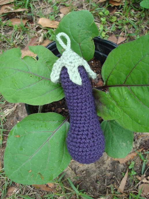 How to Crochet a Japanese Eggplant: A Fun and Unique DIY Project How to Crochet a Japanese Eggplant: A Fun and Unique DIY Project