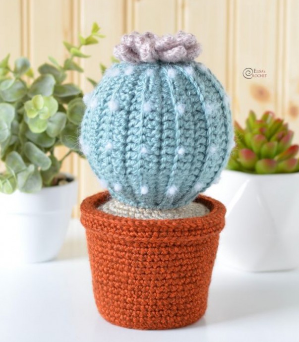 Stunning Handmade Crocheted Succulents for Home Decor and Gifts Stunning Handmade Crocheted Succulents for Home Decor and Gifts