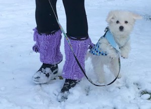 Discover the Ultimate Cozy and Stylish Crochet Leg Warmers for Winter Fashion