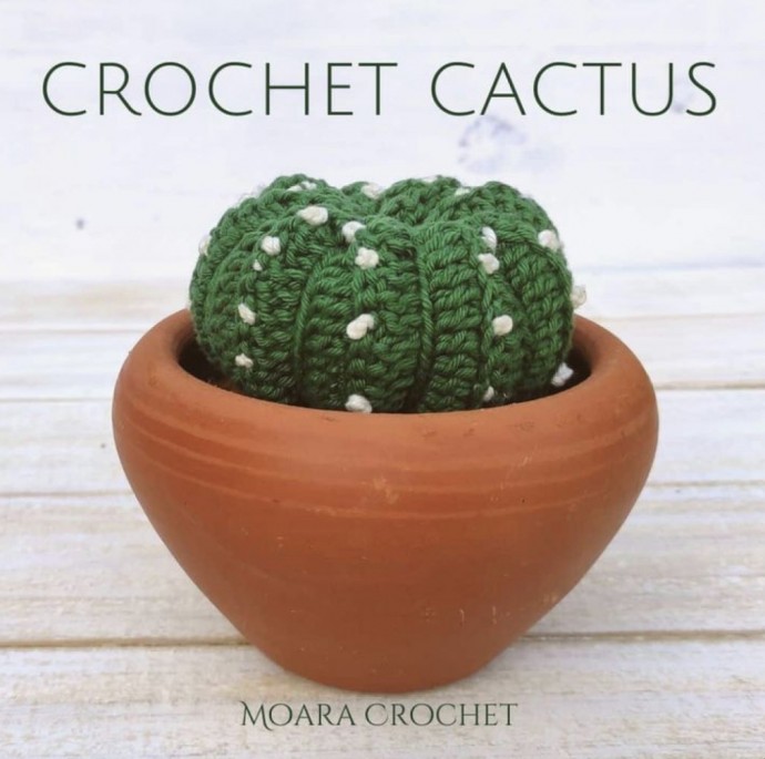 Free Crochet Cactus Pattern