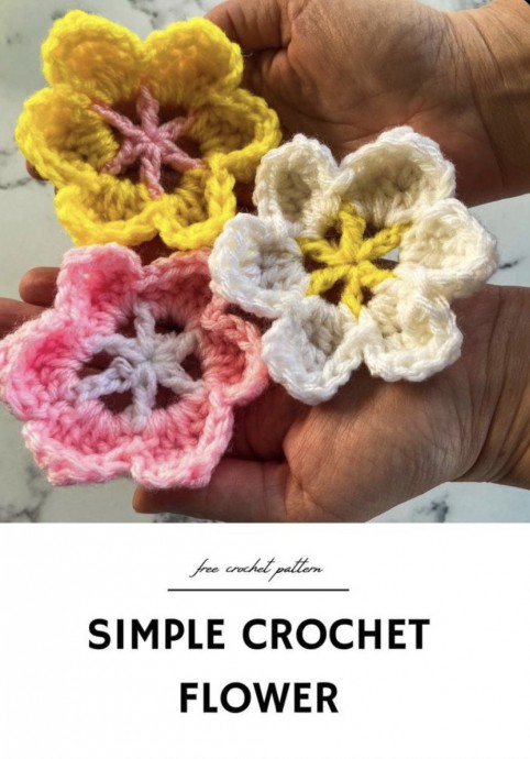 Discover the Joy of Crochet Flowers: A Beginner's Guide to Create Beautiful Decorations