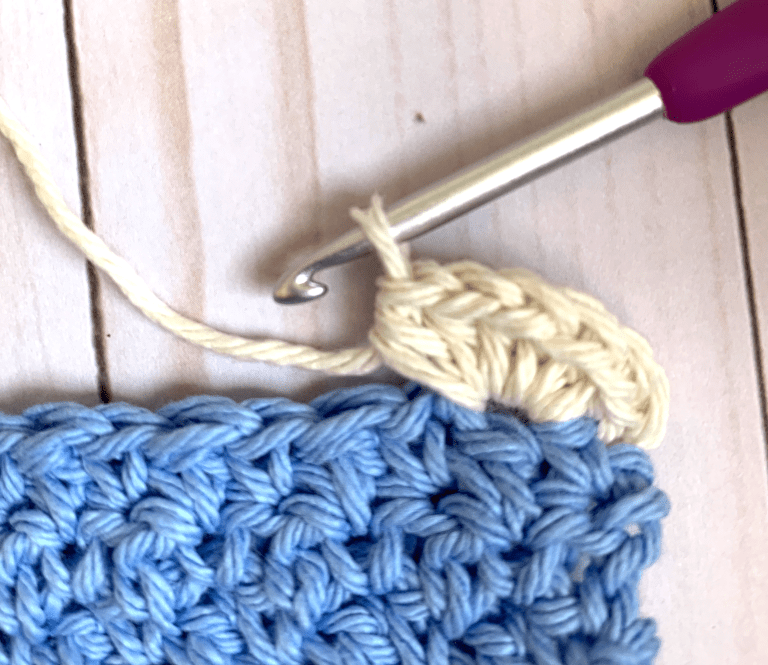 Crochet Sweetest Dishcloth