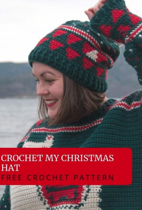 Crochet Christmas Hat