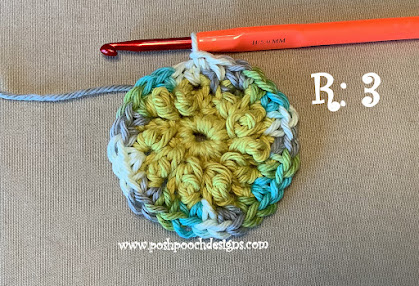 Crochet Flower Double Sided Scrubby: A Charming Eco-Friendly Kitchen Companion