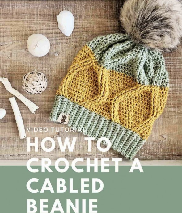 Cute Cabled Crochet Beanie